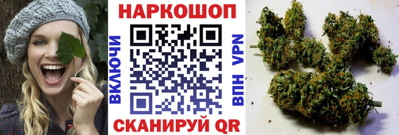 Альфа ПВП Североморск