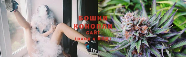 экстази Няндома