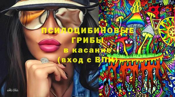 экстази Няндома