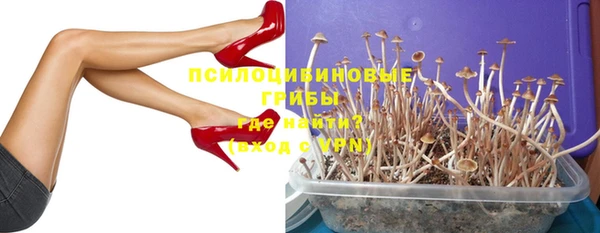 экстази Няндома