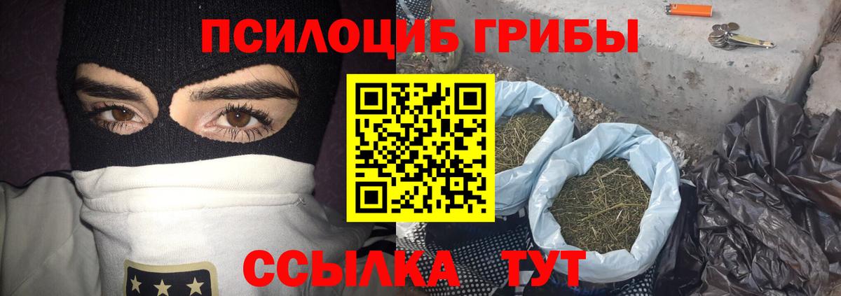 Псилоцибиновые грибы GOLDEN TEACHER  Вход с VPN  Североморск  Псилоцибиновые грибы прущие грибы 